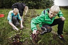 På Langbjergskolen i Humlebæk har de fået lov til at eksperimentere med fagene. Her har de har slået idræt og hjemkundskab sammen til sundhed.